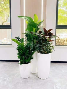 了解宁波海曙绿化养护价格,看这篇就够!